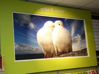 029 BCW Olde Stadhuus