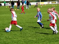 036 2016 Deltion Cup  Deltioncup met CSV '28, HHC Hardenberg en Sportclub Genemuiden als deelnemende teams.