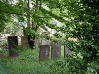 Ladies Day 032  Ladies Day Business de Wetering Sportclub Genemuiden